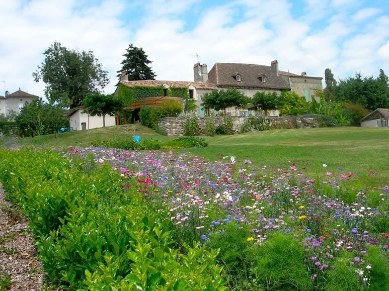 Chambres D'Hotes La Bastide Des Tremieres Saint-Antoine-de-Breuilh Eksteriør billede